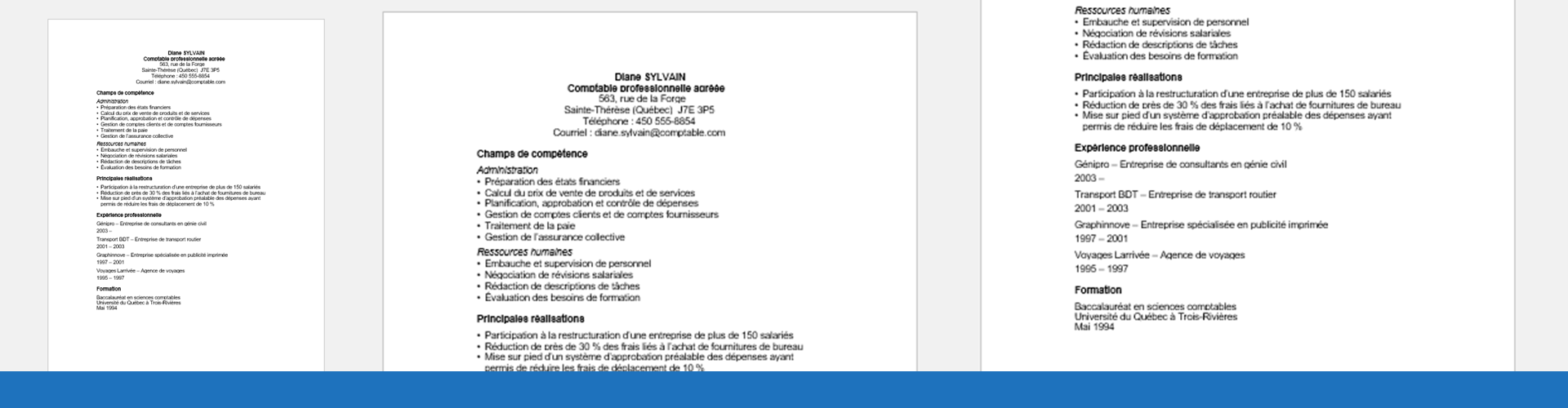 Le curriculum vitae